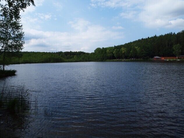 A calm lake surrounded by dense forest and a small building on the right.