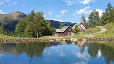 Eine Lacke vor der oberen Neuwirtshütte