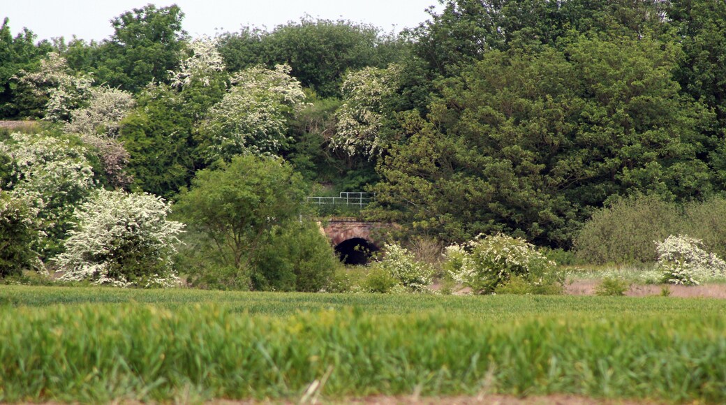 View across the fields from Lower Road; at the time I thought this was the nearest I'd be able to get.