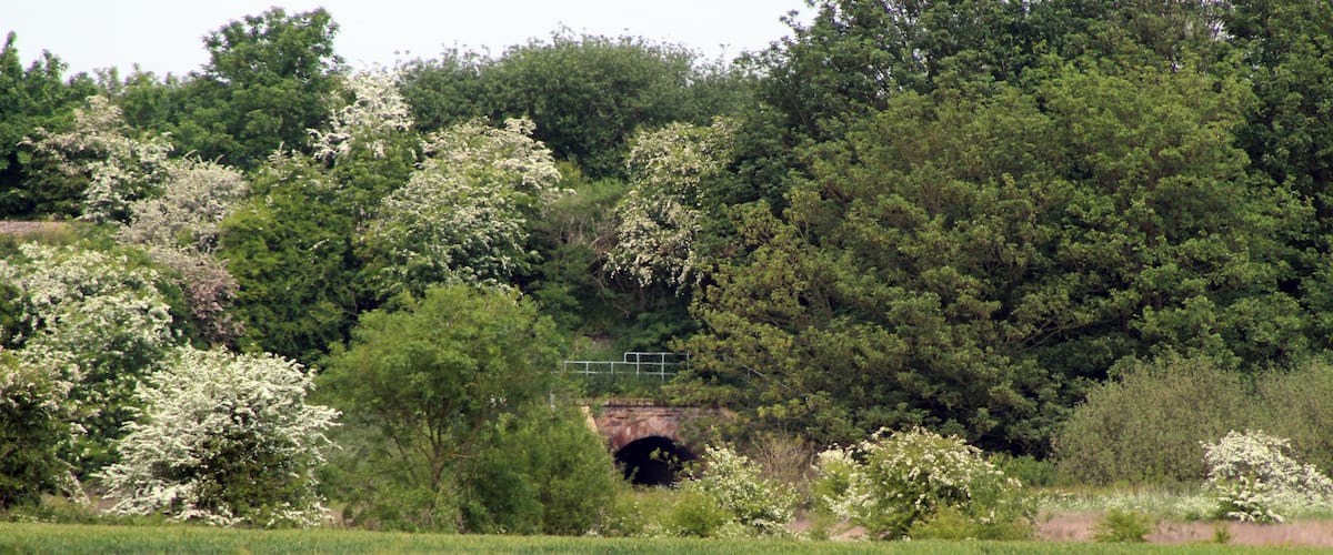 View across the fields from Lower Road; at the time I thought this was the nearest I'd be able to get.