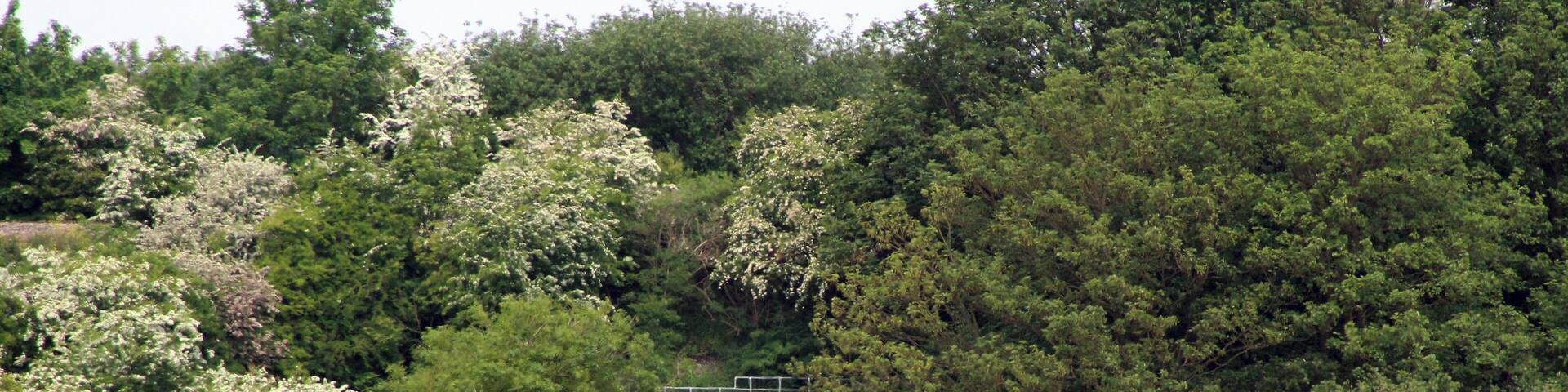View across the fields from Lower Road; at the time I thought this was the nearest I'd be able to get.