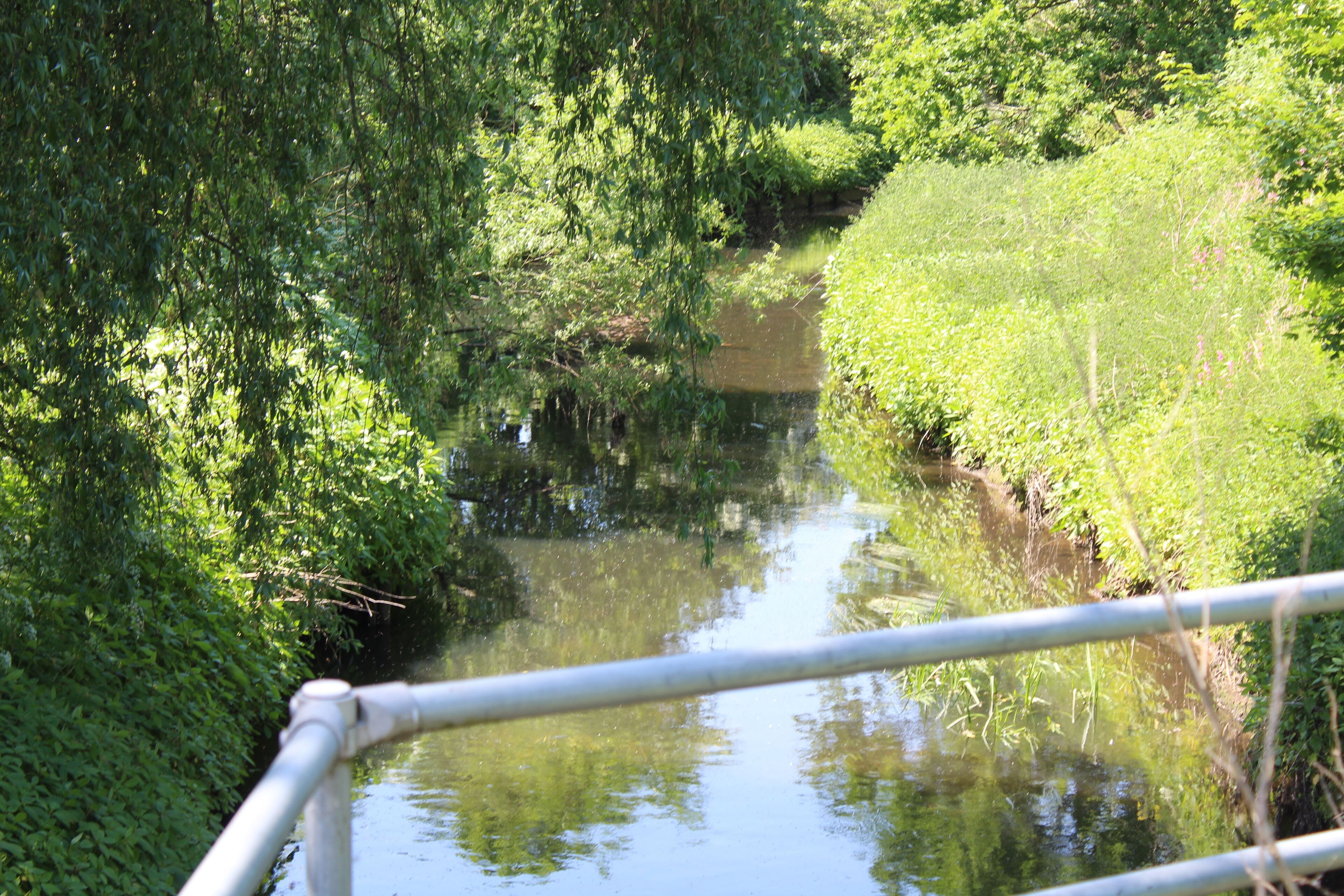 Upstream from the bridge, towards Netherley