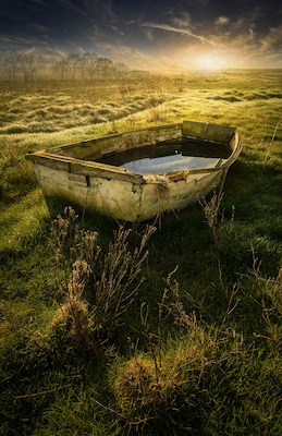 Superb morning ar Heswall marshes. Spoilt for choice with many excellent compositions, well worth a visit.