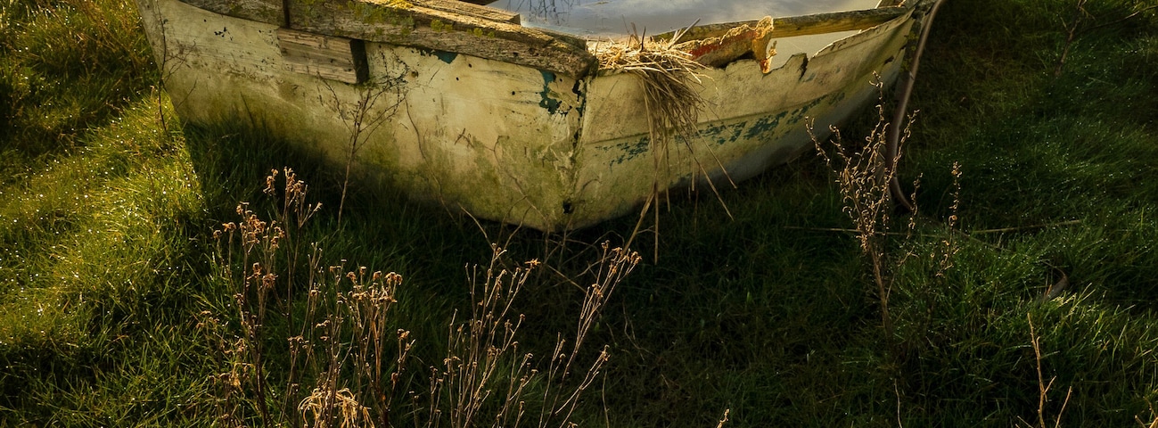 Superb morning ar Heswall marshes. Spoilt for choice with many excellent compositions, well worth a visit.