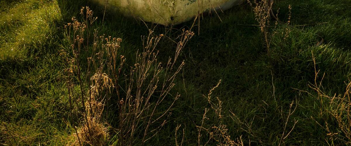 A weathered boat in a grassy field with a dramatic sky.