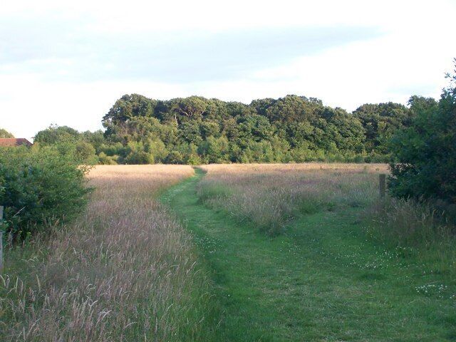 Upton Meadow