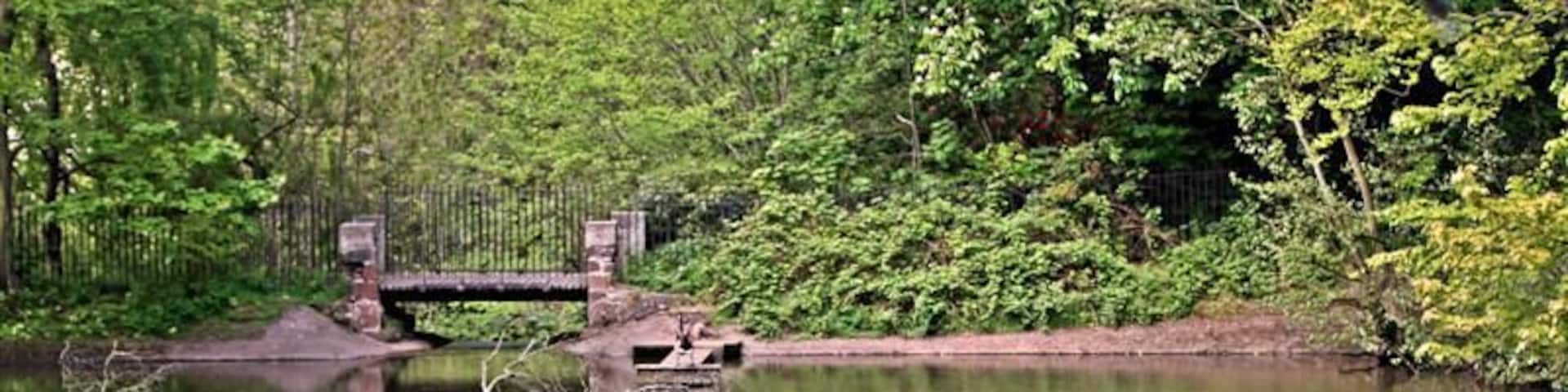 Bridge and Birds, Arrowe Park Lake