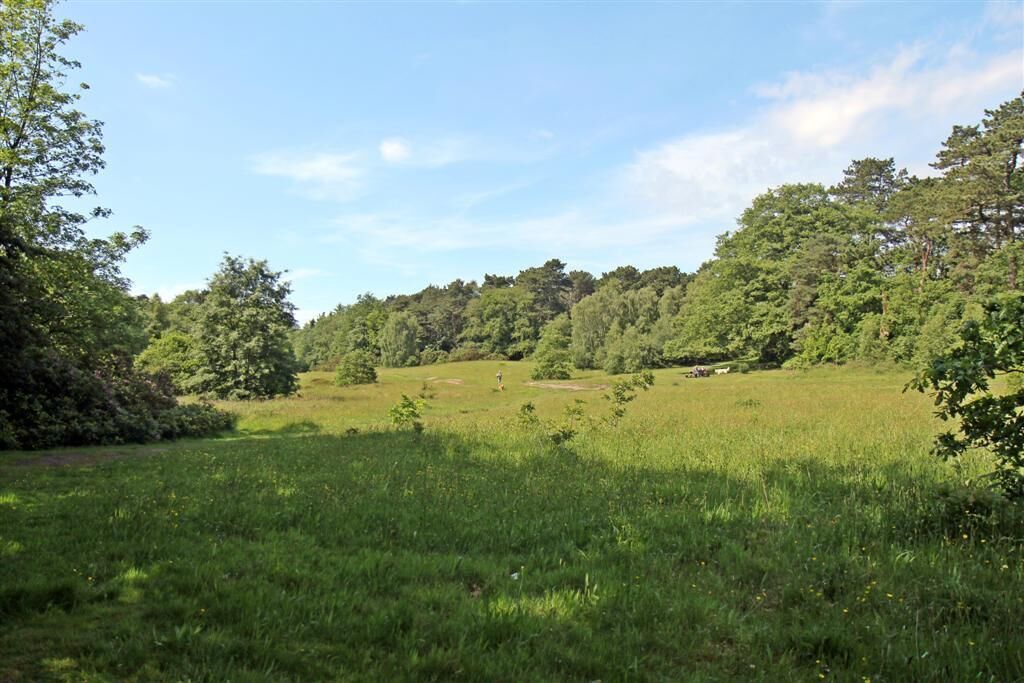 Dell next to Hillbark, Thurstaston Common