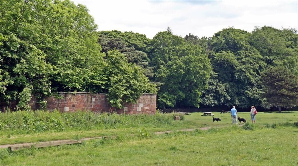 Picnic Area, Royden Park, Frankby