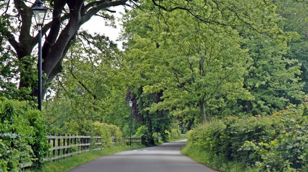 Road to Royden Park, Frankby