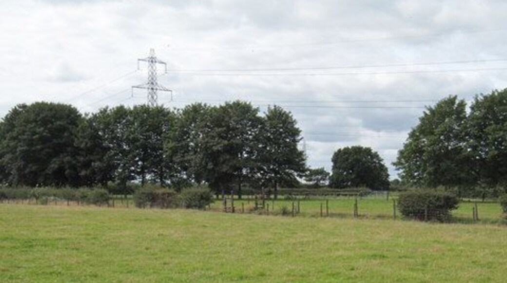 View of Footpath to Thornton-le-Moors Taken from the B road. I wouldn't recommend heading down the footpath as the gate on the Thornton side was locked and it comes out in somebodies back-garden.