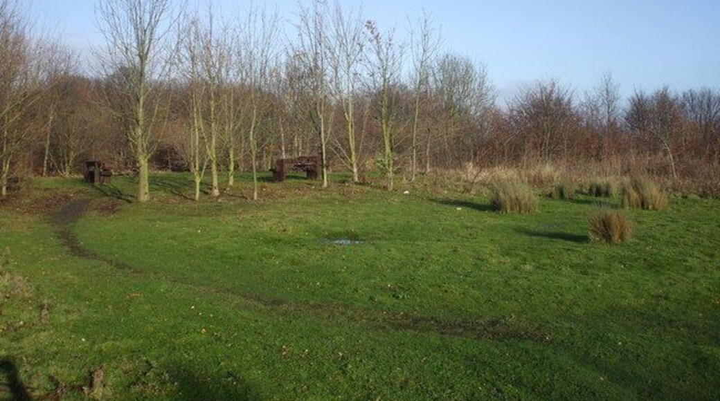 Benches & footpath on top of the mound, Ince
