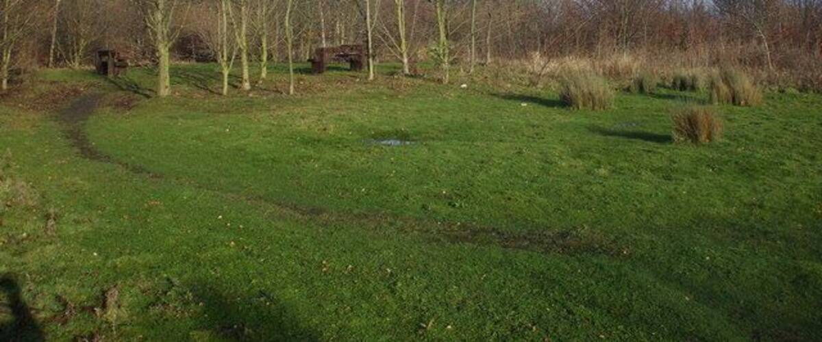 A grassy field with trees and a path.