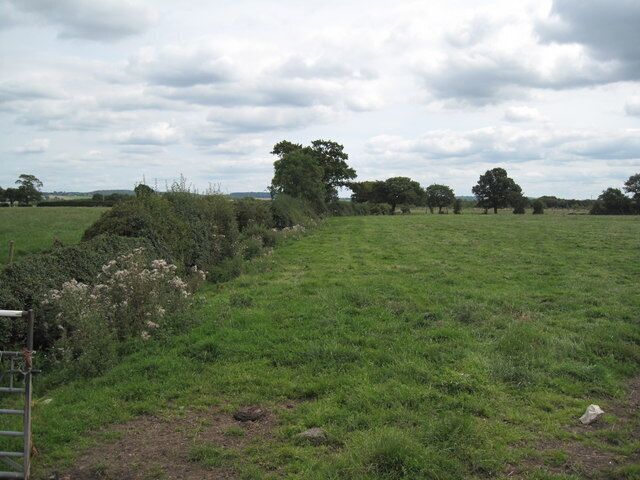 Footpath to the Motorway After passing New Dairy Farm, the footpath heads straight to the M56. The footpath follows the hedge on the left.
