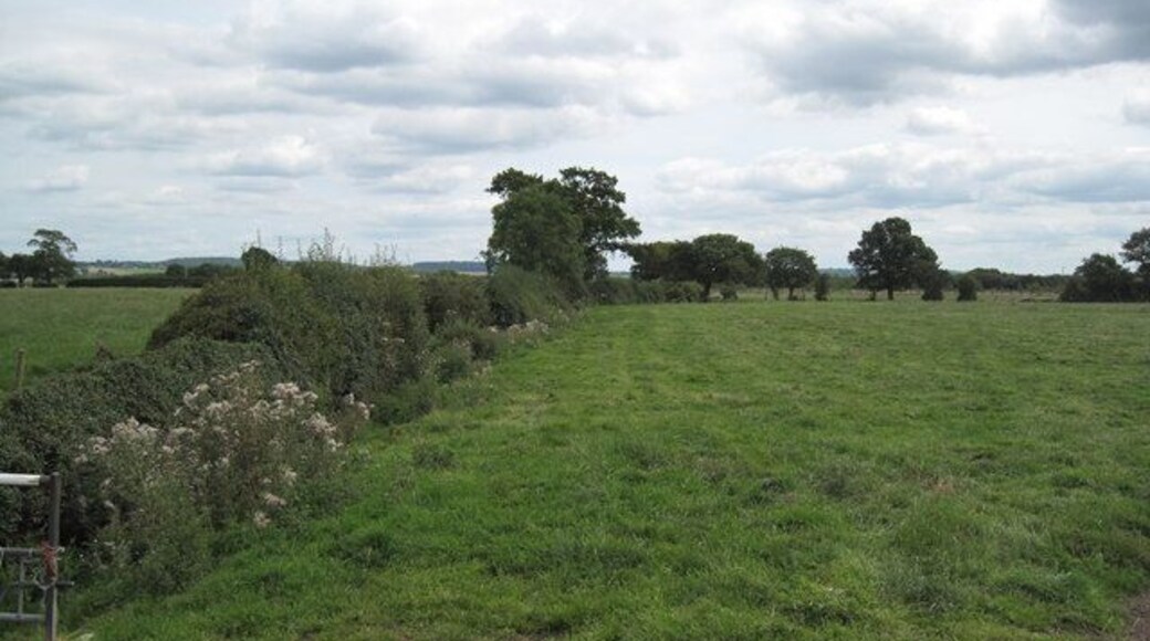 Footpath to the Motorway After passing New Dairy Farm, the footpath heads straight to the M56. The footpath follows the hedge on the left.