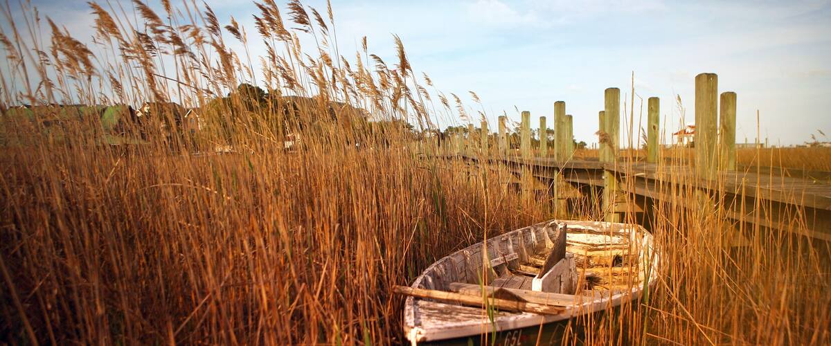 A rowboat in tall grass near a wooden fence.