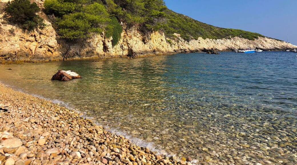 #golden hidden bay, loved finding secret beaches in Croatia. No people, No noise, just peacefulness.