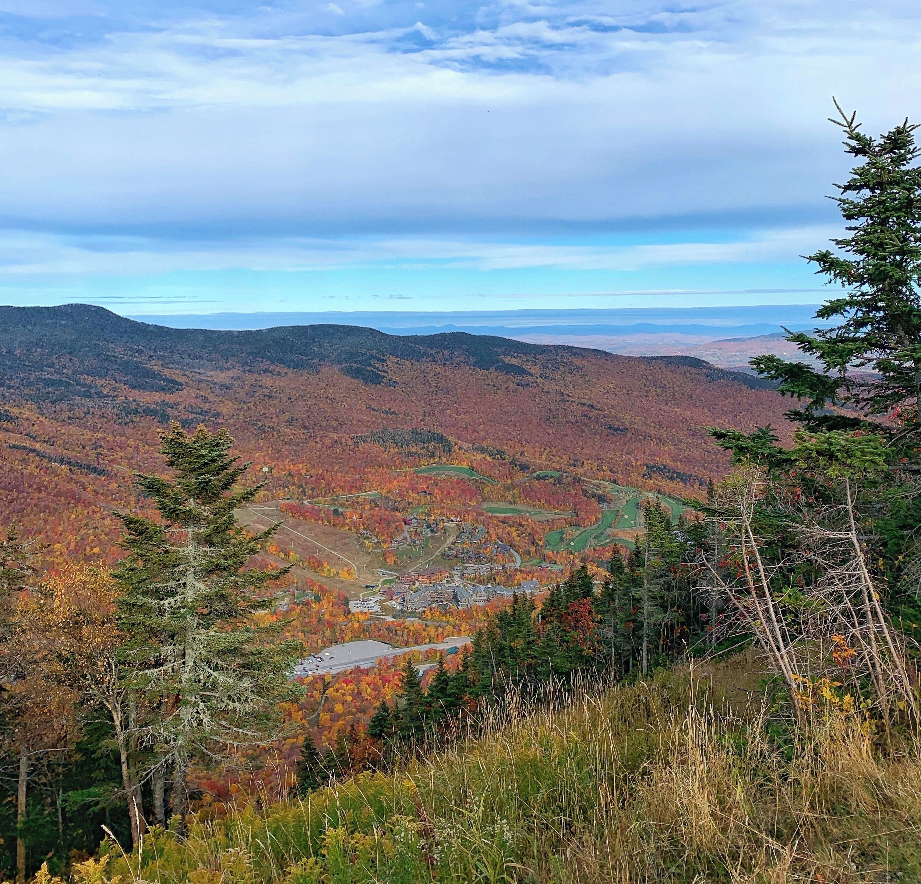 #autumn #fallfoliage #nature #leafpeeping