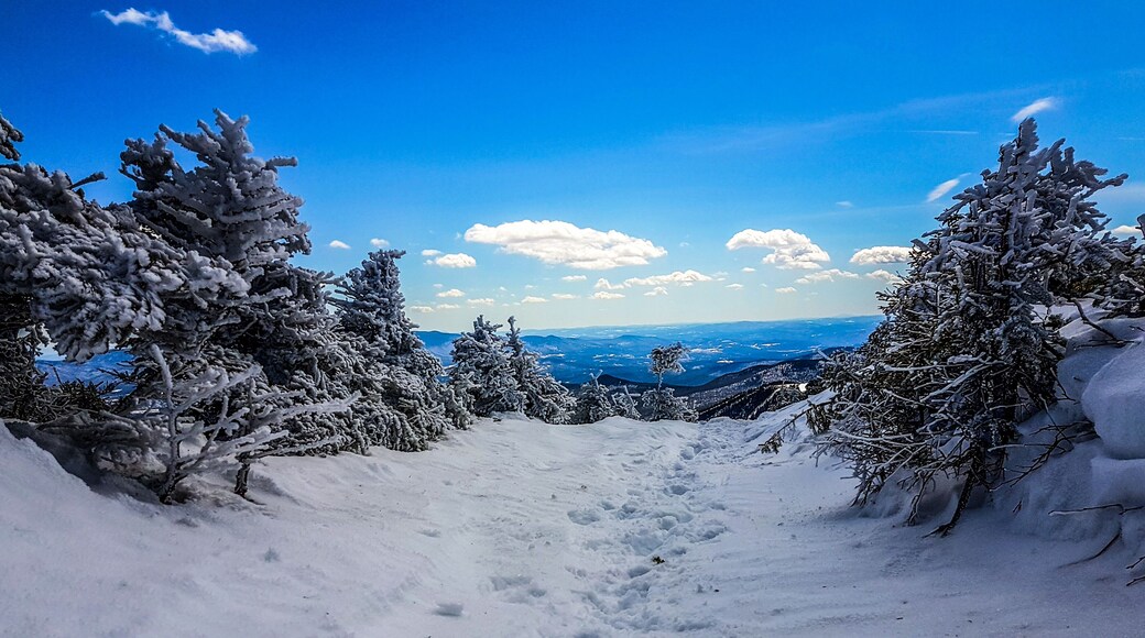 Top of a winter wonderland hiking Mt Mansfield
#trovember #hiking #outsideeveryday #ontheroad #travels #winter