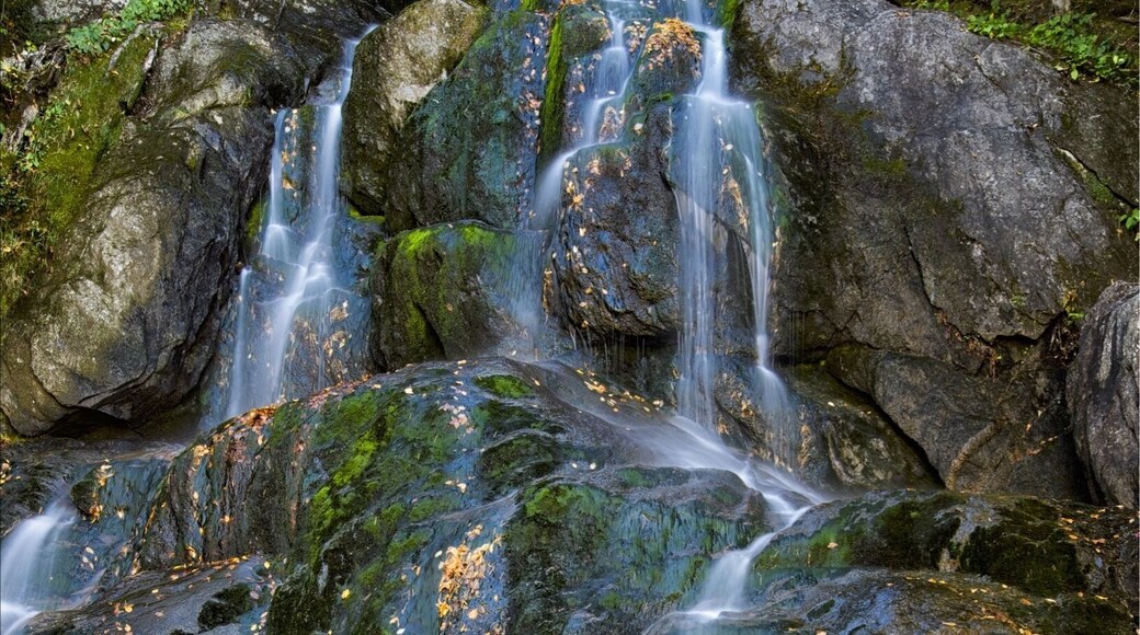 This is a popular waterfall turnout on Hwy 100 near Warren, VT. I wanted to illustrate it in a different way so I balanced the waterfall in top left area of frame with the leaves swirling in an Eddie at lower right.