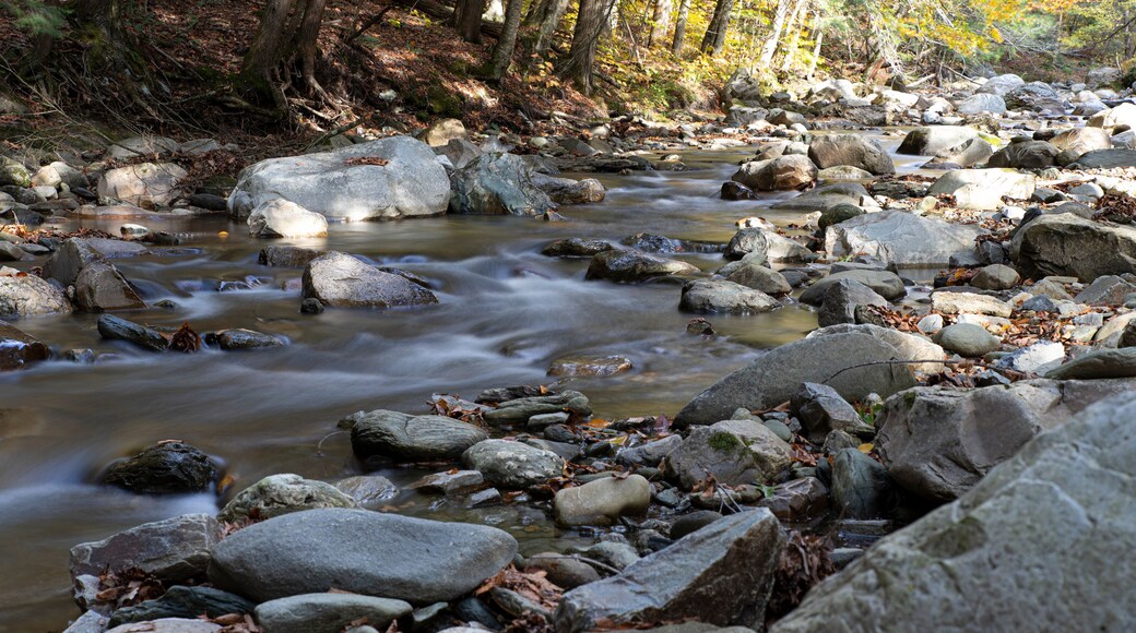This is Brown's River in Underhill Vermont. I shot this photo with a slow shutter speed. I used an ND filter. This was taken in September of 2020.