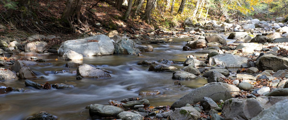 A rocky stream with large boulders and autumn leaves.
