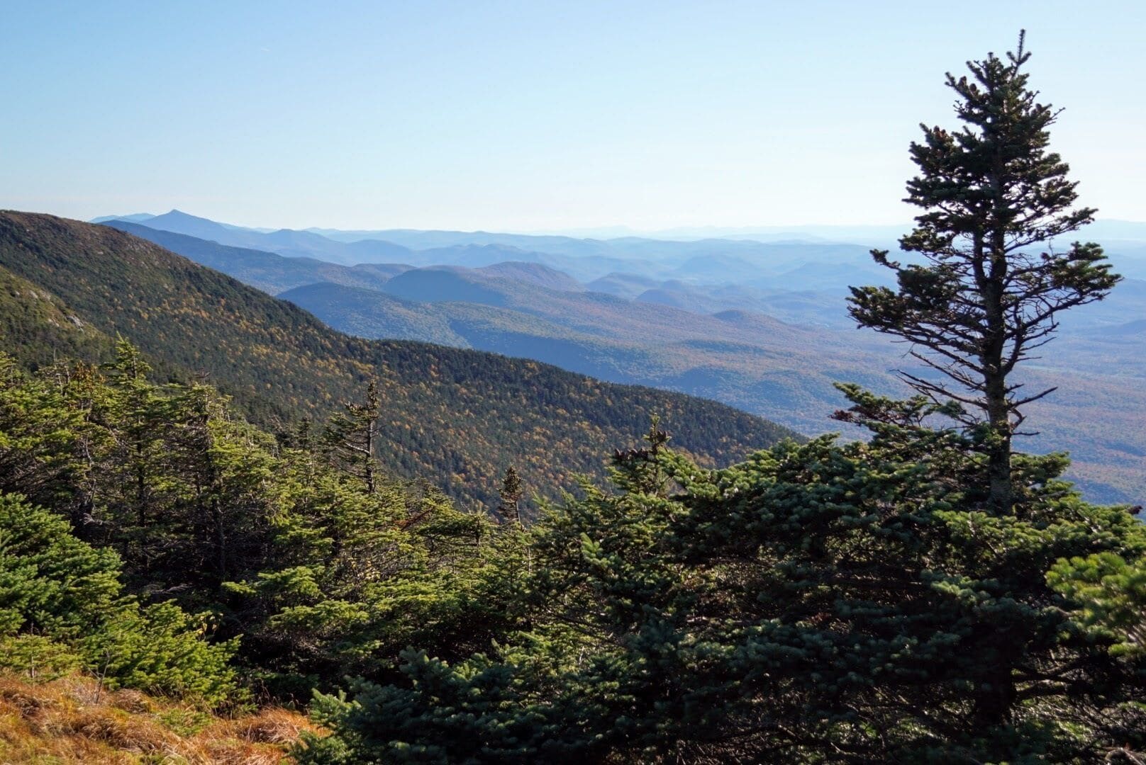 A mountainous landscape with dense forests and a clear sky.