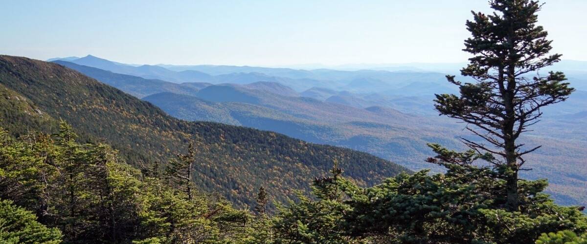 A mountainous landscape with dense forests and a clear sky.