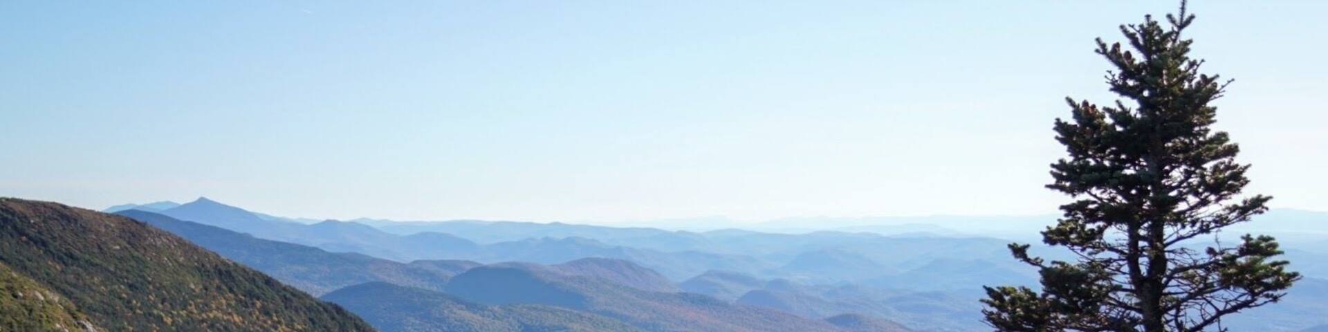 A mountainous landscape with dense forests and a clear sky.