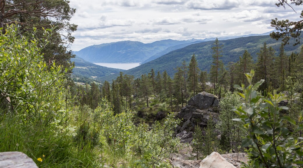 Reserva natural de Trillemarka