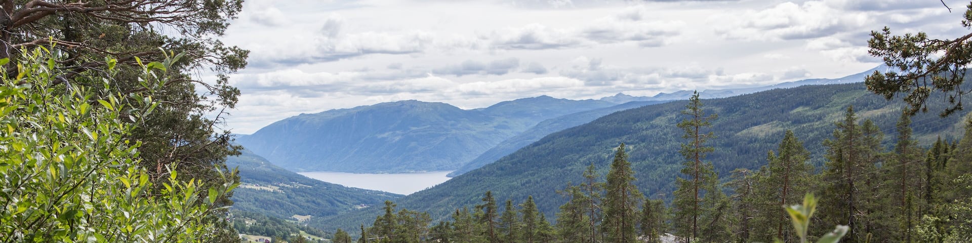 Rollagsfjell - Trillemarka Naturreservat, Landschaft, Norwegen