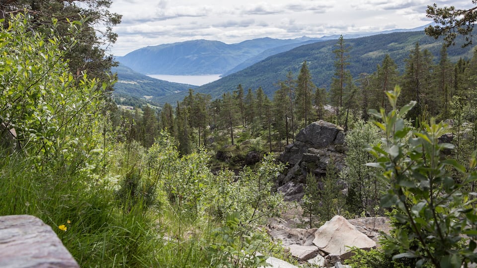 Rollagsfjell - Trillemarka Naturreservat, Landschaft, Norwegen
