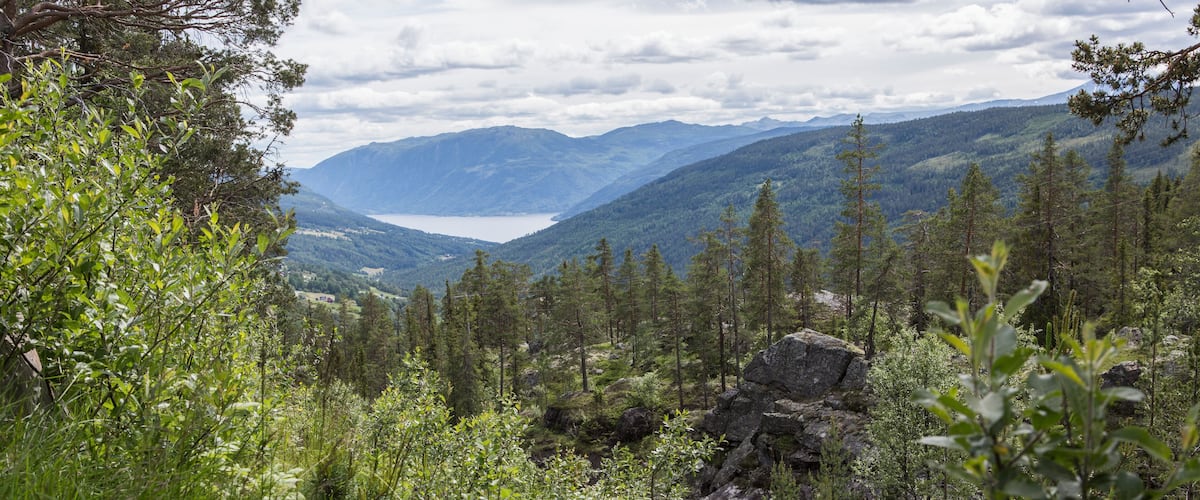 A mountainous landscape with a lake, dense forest, and rocky terrain.