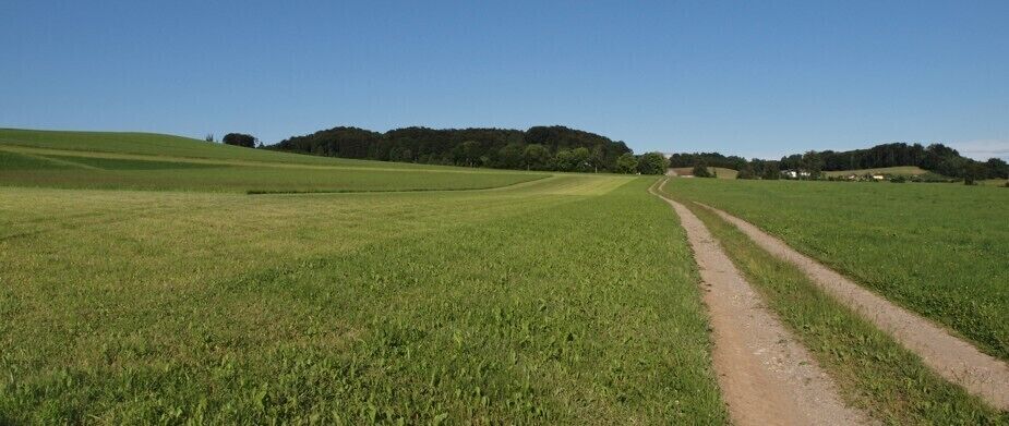 Reizvolle Wiesenlandschaft zwischen Eggelsberg und Ibm