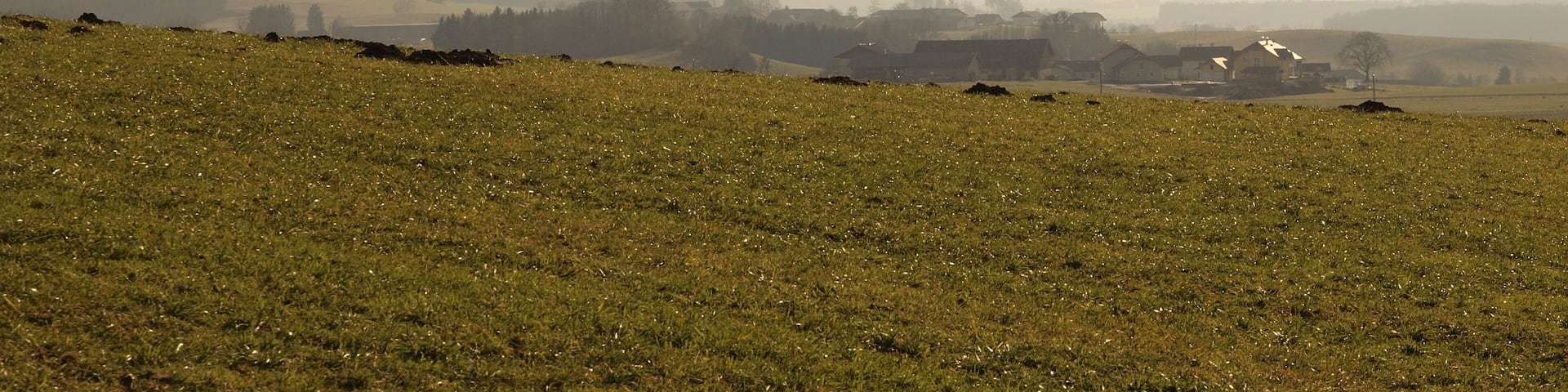 Blick von Pippmannsberg (Gemeinde Eggelsberg) auf Vormoos (Gemeinde Feldkirchen bei Mattighofen) ca 2km sĂŒdöstlich