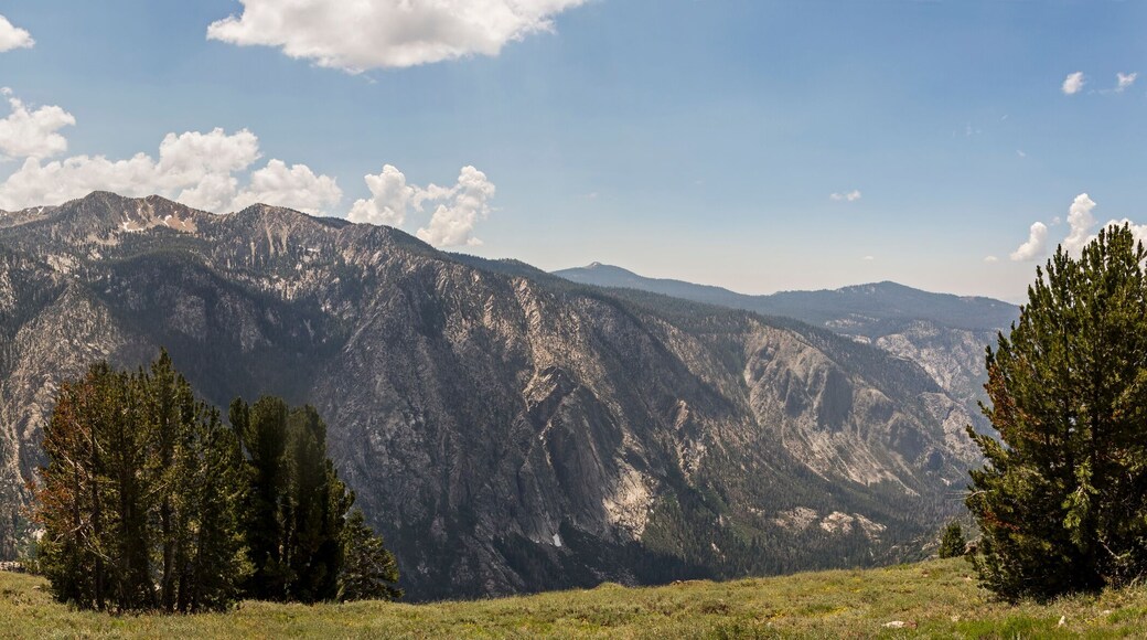 Parque natural de Silver Peak