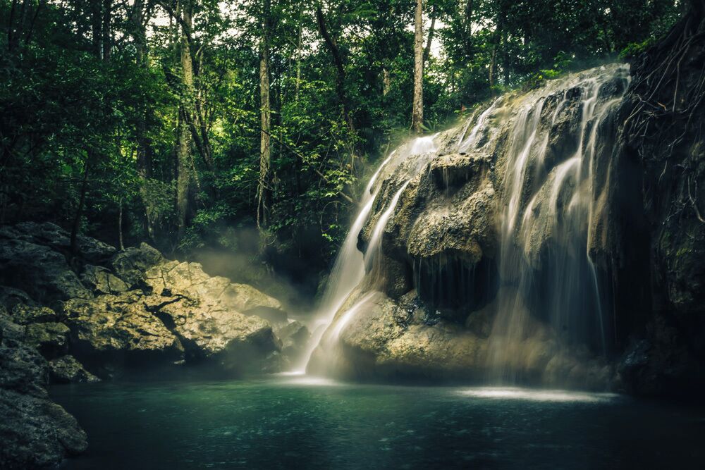 What makes Finca El Paraíso so unique is its hot spring waterfall, born from water coming out of the ground and finishing on a cold water river. 

A truly special place! 