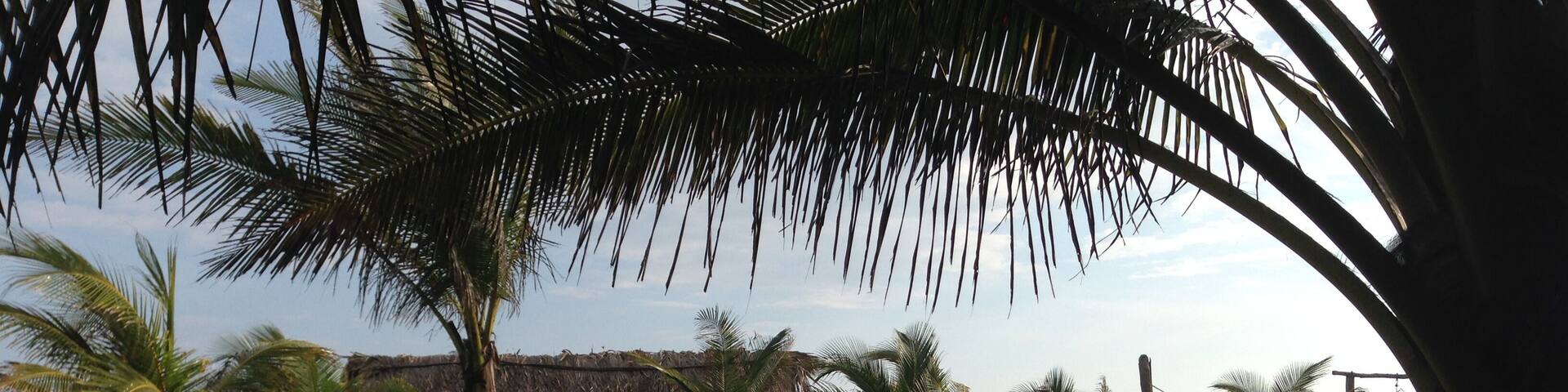 They wouldn't let us camp but that meant the showers and toilets were free (after paying for a bed)
#adventure
#overlanding #surfing #panamerican