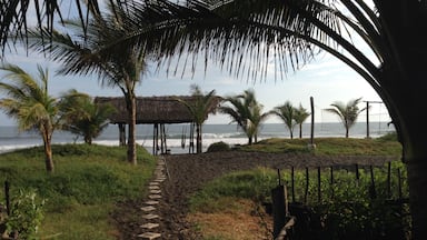 They wouldn't let us camp but that meant the showers and toilets were free (after paying for a bed)
#adventure
#overlanding #surfing #panamerican