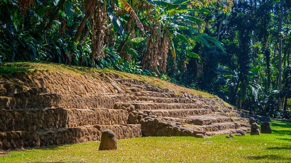 Terraced stone steps in a lush green landscape.