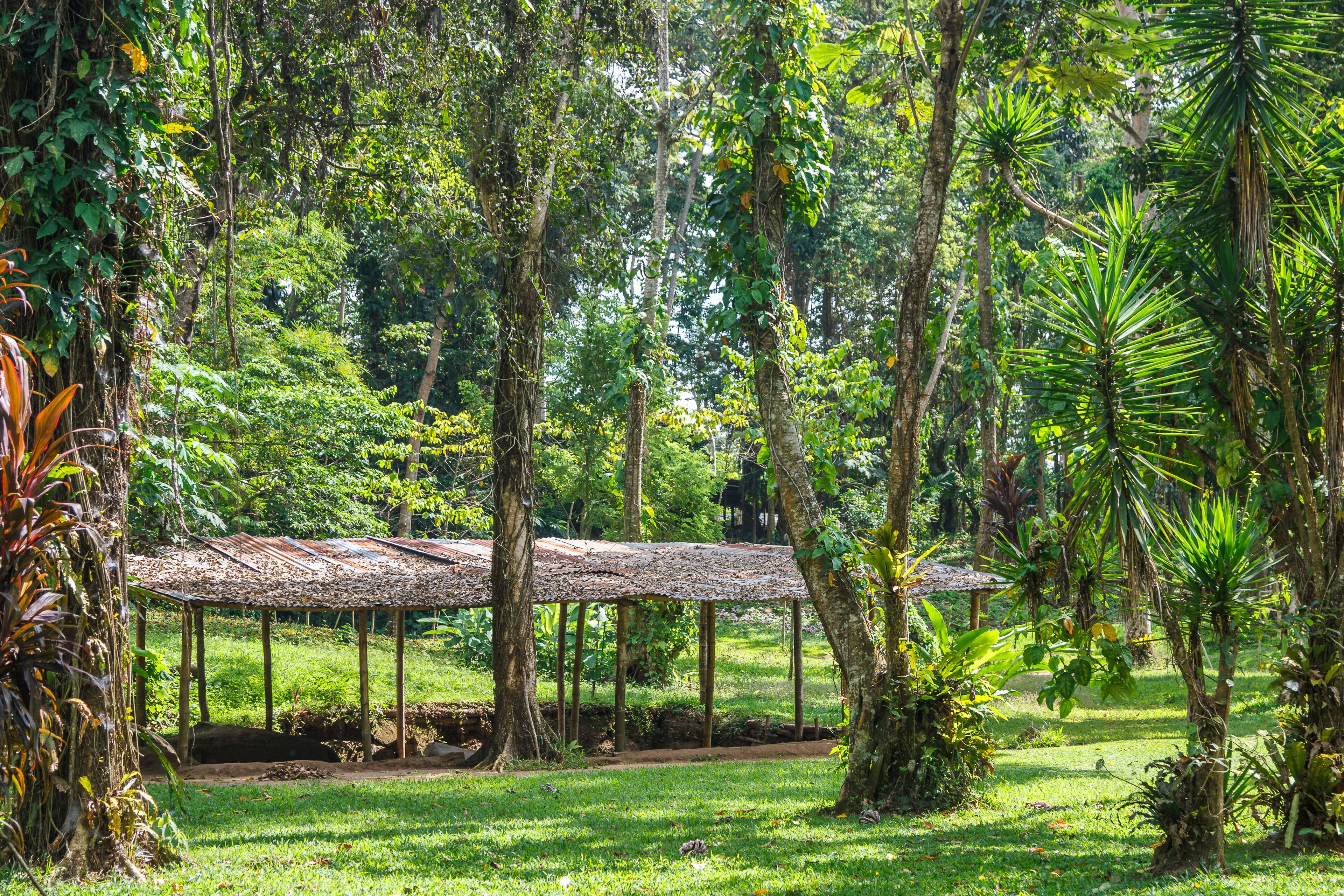 Ruins of the pre-Colombian town Takalik Abaj, Guatemala