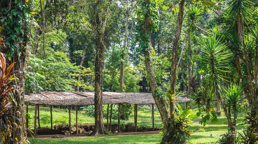Ruins of the pre-Colombian town Takalik Abaj, Guatemala