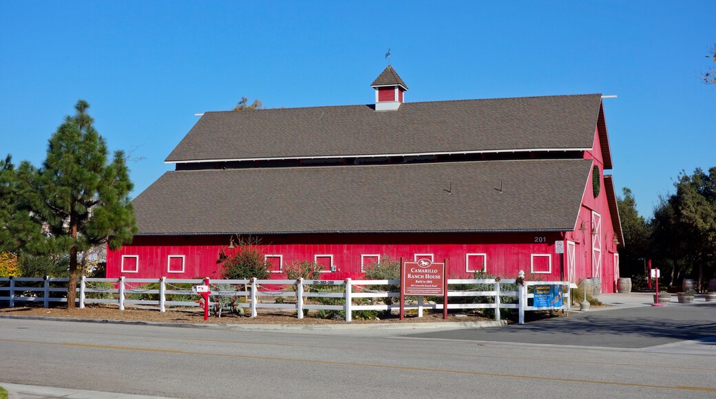 ์ฌ๋ ํ์ด ์นด๋ง๋ฆด๋ก