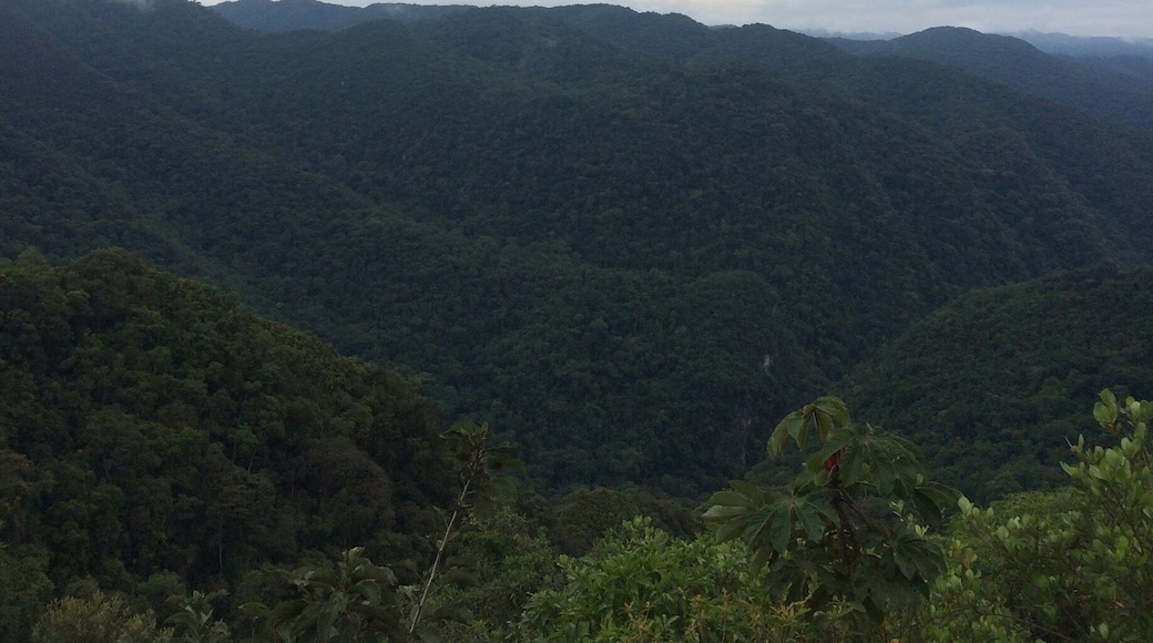 Paisagem espetáculo
