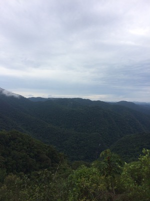 Paisagem espetáculo