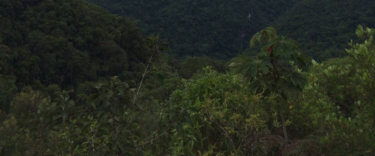 A mountainous landscape with dense forest coverage and a cloudy sky.