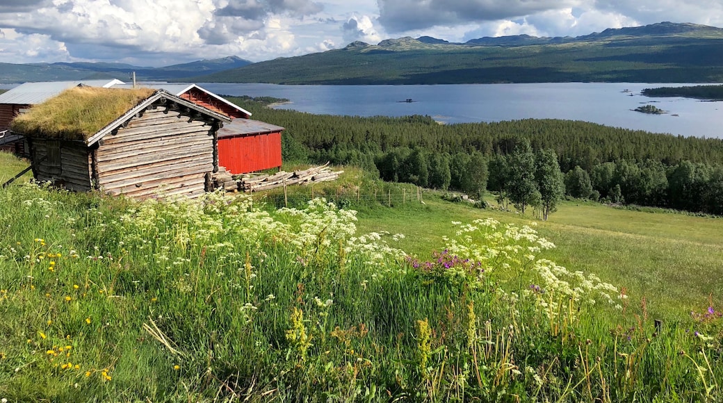 Scenery of the lake from the highway.
#Nature