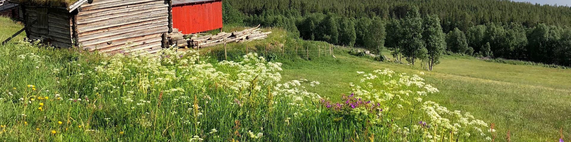 Scenery of the lake from the highway.
#Nature