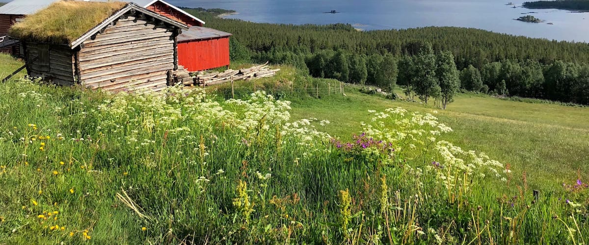 A wooden cabin with a red roof, a grassy field with wildflowers, and a lake surrounded by mountains.