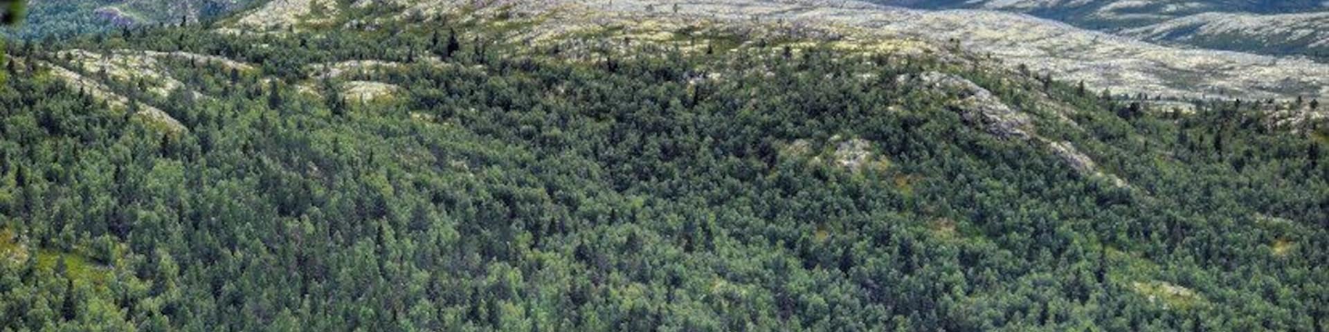 One of my favorite spots #Trovember